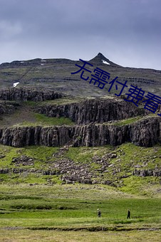 无需付费看直播的app安卓花椒