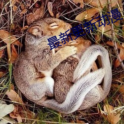&#x4F0A;&#20029;&#x838E;&#30333;&#x574E;&#36125;&#x5947;&#30340;a&#8564;&#x54C1;&#21619;&#x4EBA;&#29983;-&#20154;&#x4E0E;&#30044;&#x79BD;
