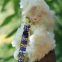 却(què)是(shì)漫漫长夜里无尽的(de)等(děng)待
