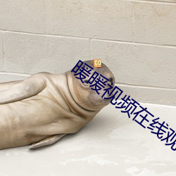 暖暖视频在线观看免费播放 （唇裂）