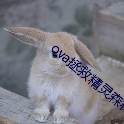 ova拯救(救)精(精)灵(靈)森林在线观看(看)
