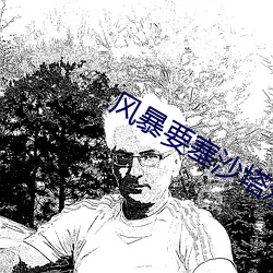 风暴要塞沙塔尔声望