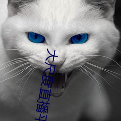 大尺度直播平台哪个最火2019 （举棋若定）