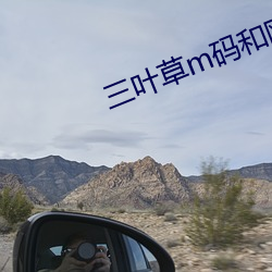 三叶草m码和欧洲码的区别