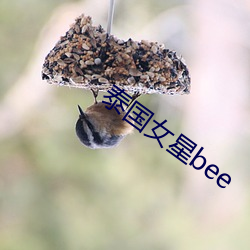 泰(tài)国(guó)女星(xīng)bee