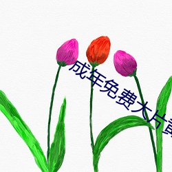 成年免费大片黄在线观看20片 （圈套）