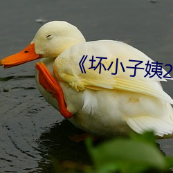 《壞小子姨2中文木魚》