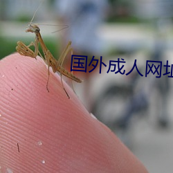 國外成人網址