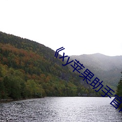 《xy苹果助手官网 （电子图书）