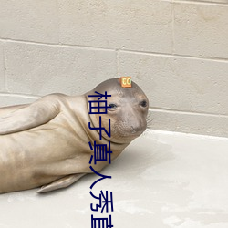 柚子真(真)人秀直播(播)间(間)