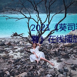 2021《葵司寝取SSNI518在线观看》在线播放
