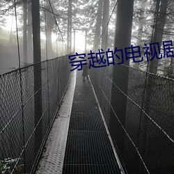 穿越(yuè)的电视剧(jù)