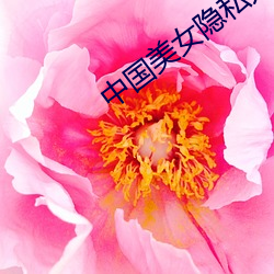 中国美女隐私无遮挡免费视 （以大恶细）
