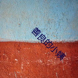 善良的小(xiǎo)姨