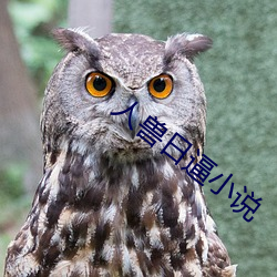 人獸日逼小說