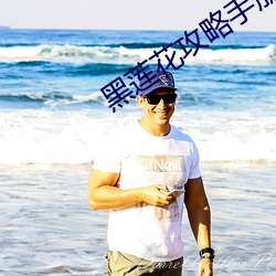黑莲花攻略手册小说