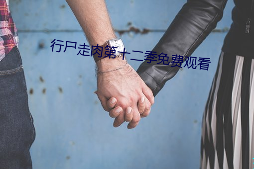 行尸走肉第十二季免费观看