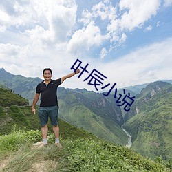 叶辰小(小)说