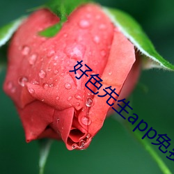 好色先生app免費下載