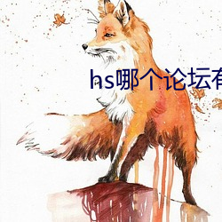 hs哪个论坛有资源