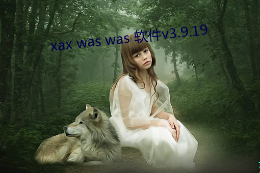xax was was 软件v3.9.19