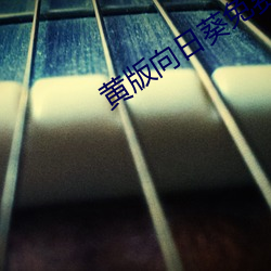 黄(huáng)版向日葵免费下载(zài)安装