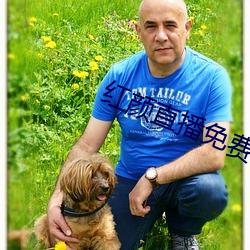 红(hóng)颜直(zhí)播免(miǎn)费下载
