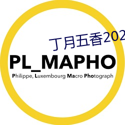 丁月五香2020乱破解版