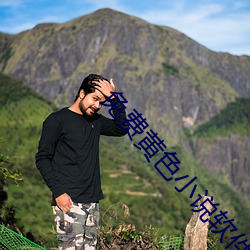 免费黄色小说软件 （翘足可待）