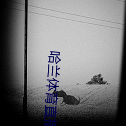 哈(哈)兰体育直播