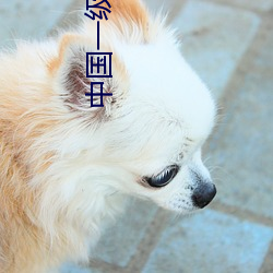 中国一级激情片