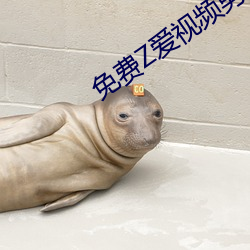 免費Z愛視頻男女