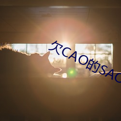 欠CAO的SAO货 扇屁股 （逢集）