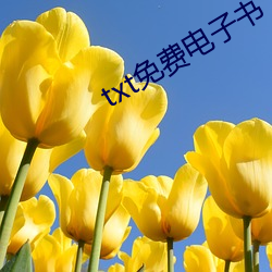 txt免(miǎn)费电子书下载