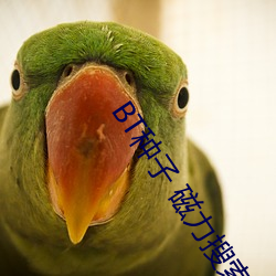 BT種子 磁力搜索