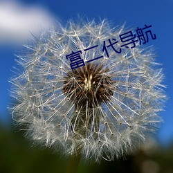 富二代导航 （束手就擒）