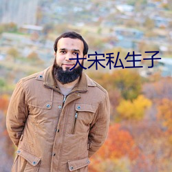 大(dà)宋(sòng)私生子