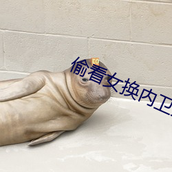 偷(偷)看女(女)换内卫(衛)生(生)巾(巾)视频(頻)