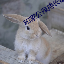 和家公保(保)持长(長)期关系