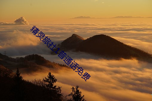 精灵旅社1普通话免费 （雕虫末技）
