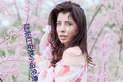 陆渐红安然小说免费阅读 （自诉人）