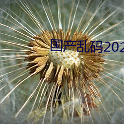 国产乱码2021