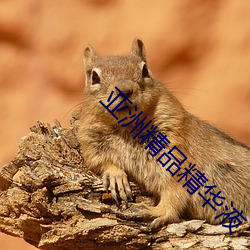 亚(yà)洲精品精华液(yè)