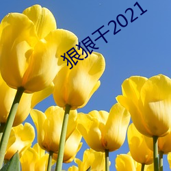 狠狠干2021