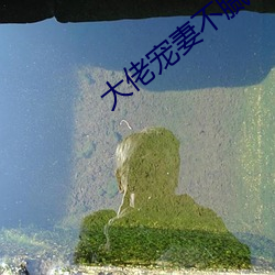 凯时|AG(AsiaGaming)优质运营商