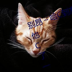 别昂～哈C到高C了(了)不行(行) 没带(帶)罩子(子)让(讓)他C了一节(節)课(課)故(故)事(事)