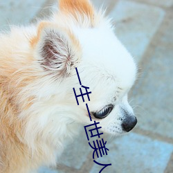 一生一世美人骨免費閱讀