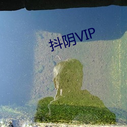 VIP ǣ