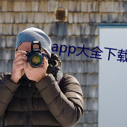app大全下(xià)载入(rù)口