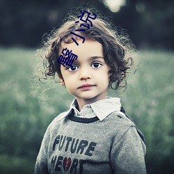 臀 小说